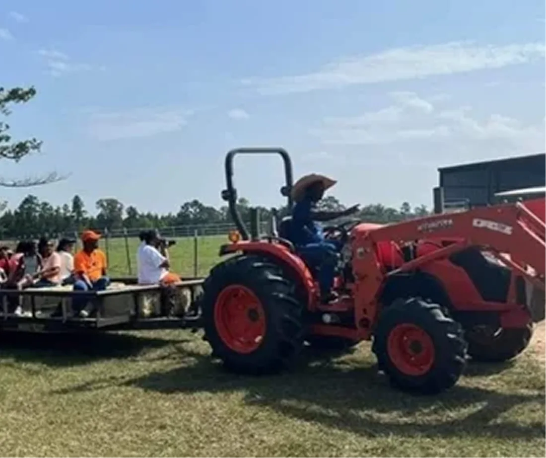 Visitors riding a wagon at Muse 3 Farm